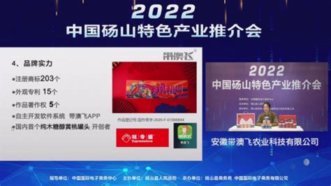 2022中国砀山特色产业推介会成功举办_中华网