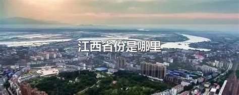 丰城：紫云大桥新建工程项目春节“不打烊” | 丰城市人民政府