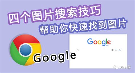 以图搜图 谷歌强大找图利器使用图文教程 - 搜索技巧 - 中文搜索引擎指南网
