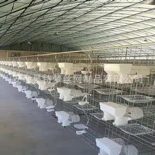 鸽子笼子养殖笼鸽子笼家用鸽棚鸽房大号肉鸽繁殖鸽笼鸽用品用具-阿里巴巴