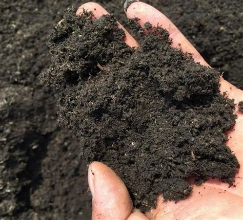 进口纯泥炭土拉脱维亚营养土多肉花卉蔬菜种植土有机草泥炭通用型-淘宝网