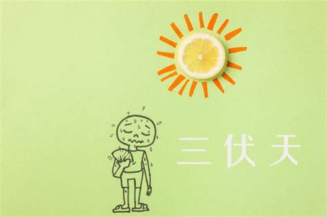 绿色清新弥散中伏三伏天中国传统节气海报设计图片下载_psd格式素材_熊猫办公