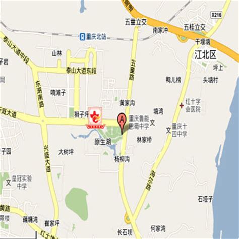 重庆市地图导航_重庆市地图高清版 - 随意云