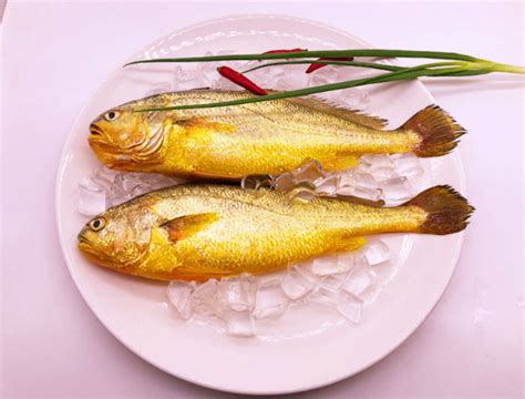 黄鱼多少钱一斤，不同品种的黄鱼价格都不等 - 鲜淘网