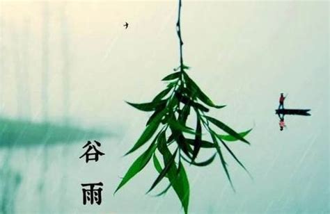 描写雨的古诗词有哪些?清凉了整个夏天- 北京本地宝