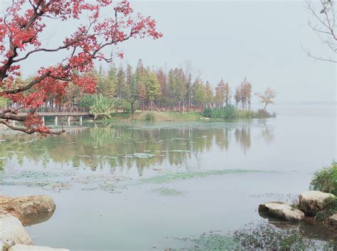 武汉东湖边上有这么一座建筑，展现楚国之雄风，令人想起古荆州|楚天台|楚市|城门_新浪新闻