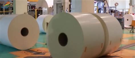 十大纸业公司，世界最先进造纸厂前十名