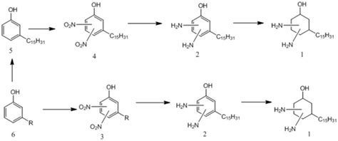 一种二氨基环己醇衍生物及其制备方法和应用与流程