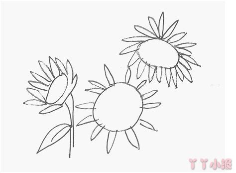 怎么画向日葵简单又漂亮带步骤素描 向日葵简笔画图片 - 丫丫小报