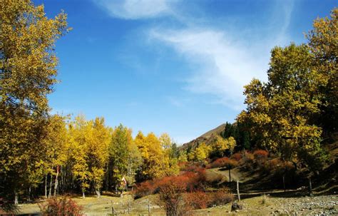 新疆东部最大的寺院遗址~白杨沟佛寺 - 知乎