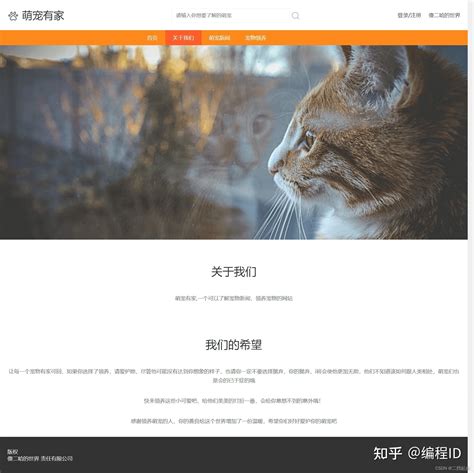 比较简洁的三个网站页面|网页|企业官网|yushiryu - 原创作品 - 站酷 (ZCOOL)