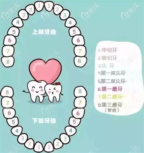 十字牙位图图片