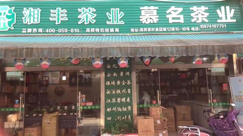 上海最大茶叶种植基地金山红茶开采_新民印象_新民网