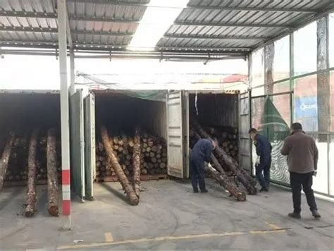 2021年第一季度中国木材木制品进口同比增长_市场一线_资讯_整木网