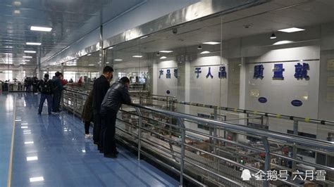 汉网组织市民参观蒙牛武汉工厂 见证一杯高品质奶诞生的全过程|蒙牛|原辅料|汉网_新浪新闻