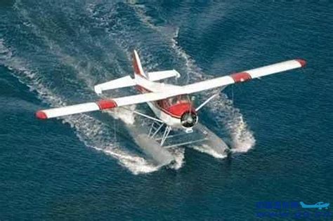海鸥300_海鸥-300小型水上飞机 - 随意云