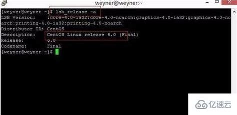 查看linux系统版本 - 奥顺运营资源网