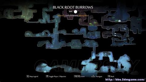 《奥日与黑暗森林终极版》地图一览 完整地图一览-游民星空 GamerSky.com