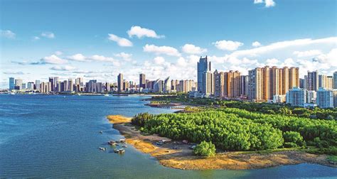绿叶下的“红树林”为湛江带来“蓝碳经济”_www.isenlin.cn