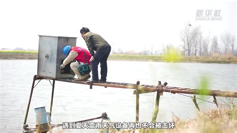 江苏扬州：电力服务 助力黄颡鱼养殖业发展_凤凰网视频_凤凰网