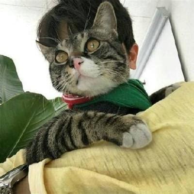 男人宠物头像图片