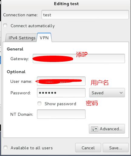 kali配置VPN