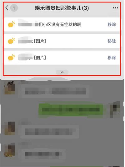 微信群聊怎么同时置顶多条消息_特玩下载te5.cn