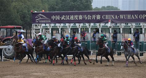 2019中国·武汉速度赛马公开赛今日收官_手机新浪网