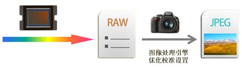 优化校准、RAW和JPEG_尼康优化校准设置杂谈02