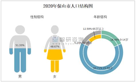 2024年[云南]保山市人口第七次人口普查数据和历史人口数据 年龄金字塔结构 民族组成情况-红黑人口库