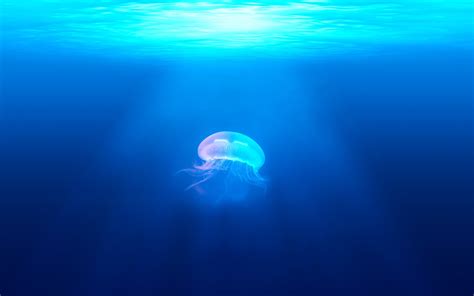 水下世界蓝色的海洋大海汹涌澎湃淡红色光线