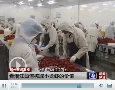 走进潜江华山水产公司 看如何榨取小龙虾的价值-新闻中心-荆州新闻网