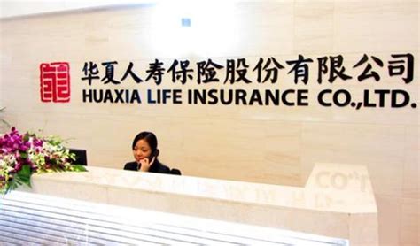 如何退中国人寿保险，中国人寿保险退保进度怎么查询_米保险