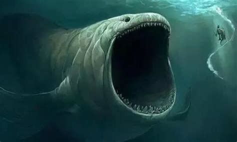 哪种史前海洋生物的实力与巨齿鲨最接近？ - 知乎