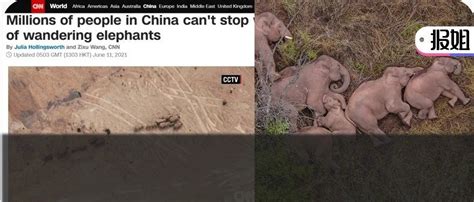 大象杀人事件后，中国游客不应再去骑大象_今日话题_腾讯网