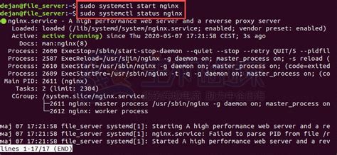 Linux服务器上启动、停止和重启Nginx命令 - 美国主机侦探