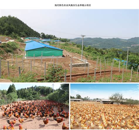 水产养殖是不是养殖密度越高效益就越高呢_广州环控农业生物科技有限公司