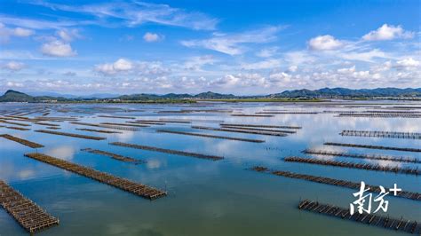 以蚝传情 滋养一方水土 ——探访宝安沙井蚝文化博物馆_深圳新闻网