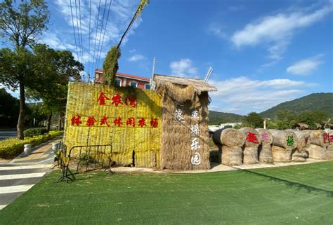95后女孩搞了中国最大的体验式农场，玩法真逆天！