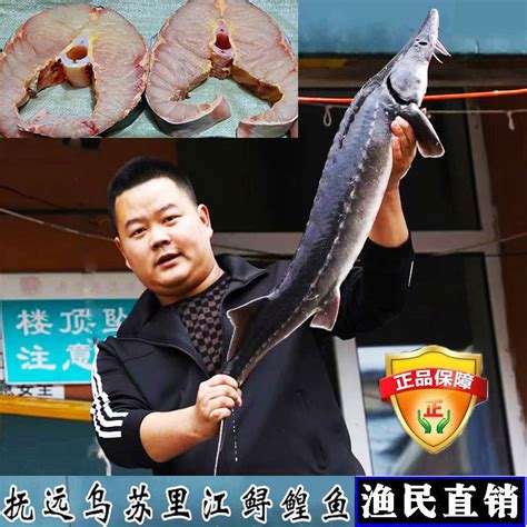 中国最好吃的淡水鱼排名 - 惠农网