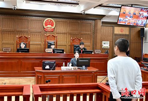 沈阳皇姑法院公开开庭审理并当庭宣判一起涉疫情期间妨害公务犯罪案件-国际在线