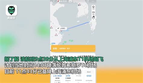 东航航班备降浦东机场，网友拍下疑似空中放油减重一幕