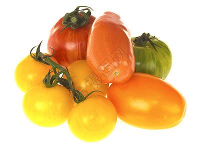 盆栽小番茄种子20粒矮生迷你珍珠西红柿种籽室内外阳台庭院春播-淘宝网