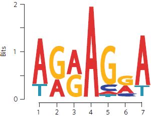 ATAC-seq分析：Motifs分析（11）(生信,教程) - AI牛丝