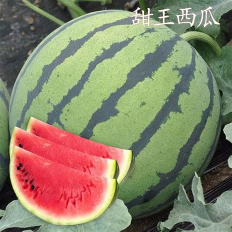 王甜图片