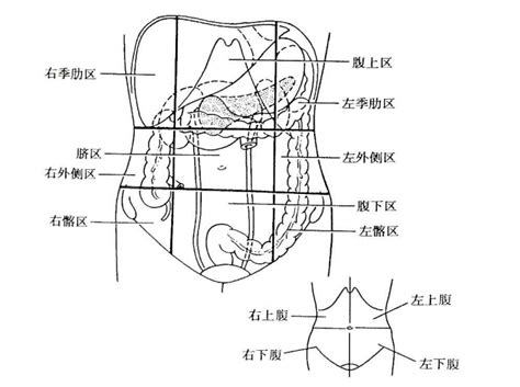 上腹部急痛，胸胁胀满，用这个方子效果好-京东健康