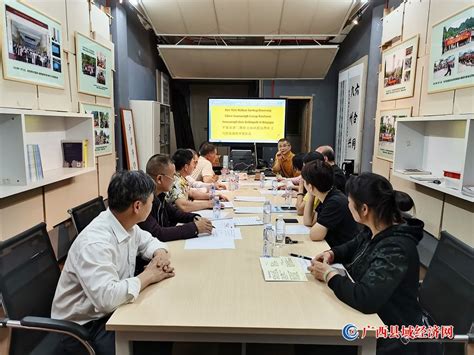 平果市举办壮文知识提高暨壮文写作培训班 - 广西县域经济网