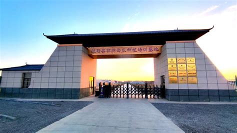 喀什地区2023年科技活动周启动仪式在疏勒县举办-新疆维吾尔自治区科学技术协会