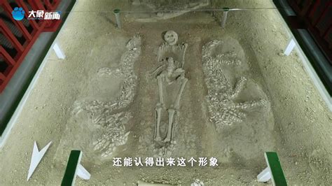 中国人自称“龙的传人”，“中华第一龙”在河南濮阳被发现