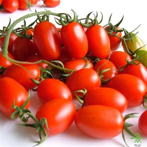 这样的西红柿千万别吃 后果很严重_社会_环球网